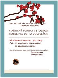 Vianočný turnaj v stolnom tenise pre deti a dospelých
