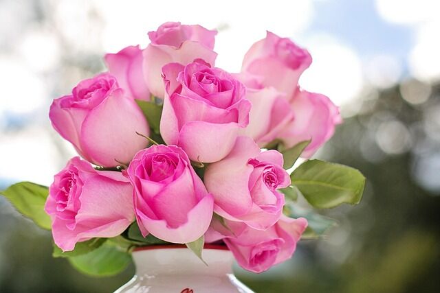 roses 2191636 640