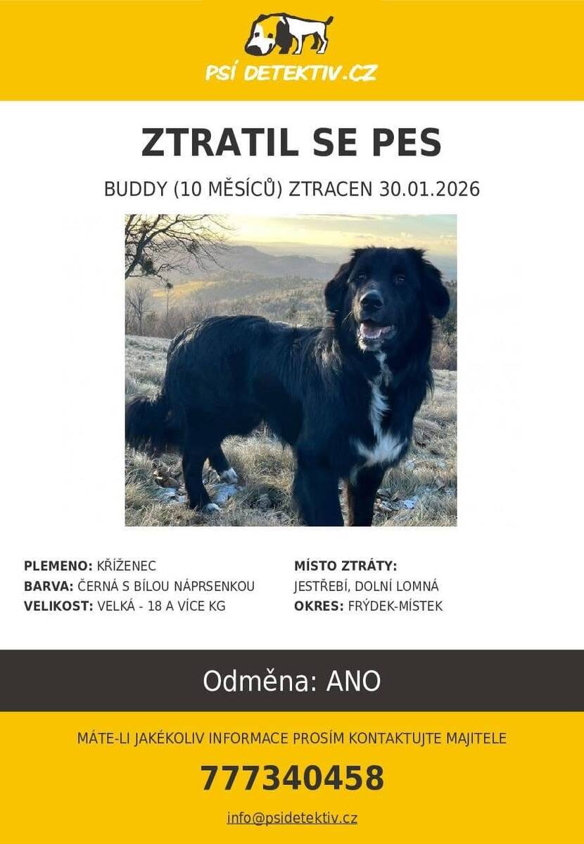 strateny psik 1