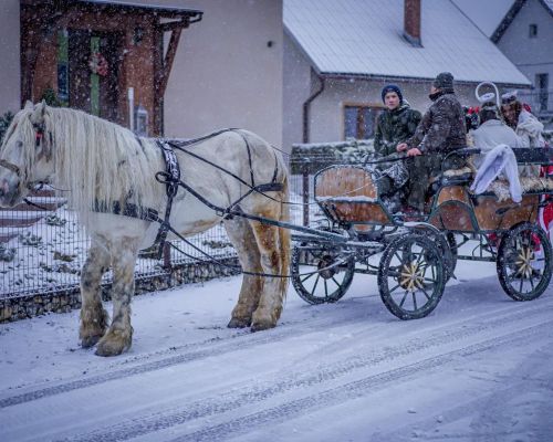 III. remeselný Mikuláš 