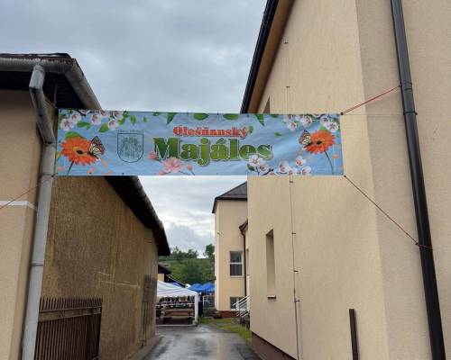 Olešňanský majáles obr. 11