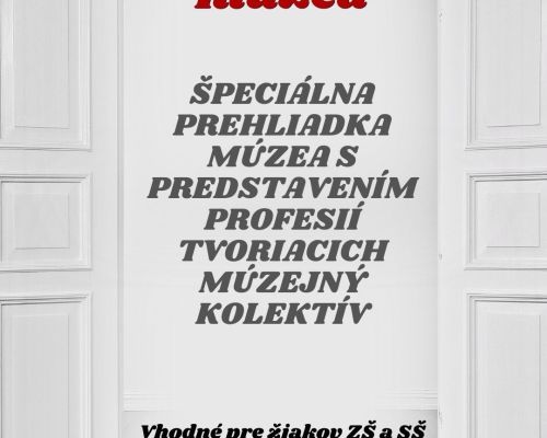 Prehliadka múzea 