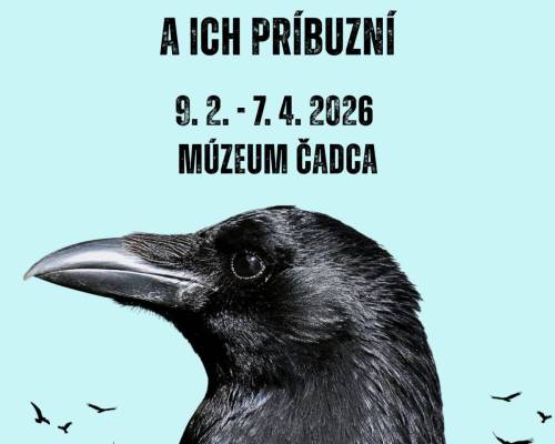 Obrázok č. 1