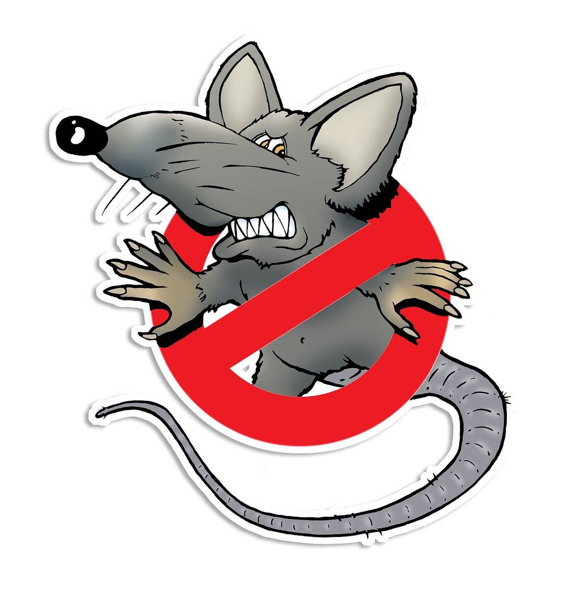 rat 4747230 1280